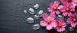 Pink flowers and stones on a black surface with water droplets