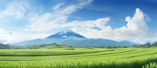 Canvas Print - Mountain peak in the distance over grassy field