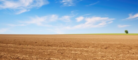 Poster - Plowed field under clear blue sky