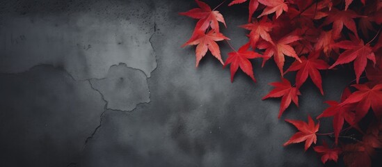 Aufkleber - Maple leaves lie on the hard surface