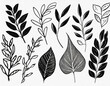 set, collection of simple leaves and branches isolated on a white background, minimalism flat graphics for design, black and white style