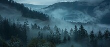 Amazing Mystical Rising Fog Dust Forest Woods Trees Landscape Panorama Banner