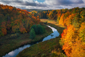 Fototapete - Autumnal landscape of the forest and twisted Radunia river in Kashubia. Poland