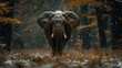 Lone Elephant Foraging for Food in a Snow-covered Forest.
