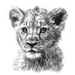 Lion cub head hand drawn sketch in doodle style Vector illustration