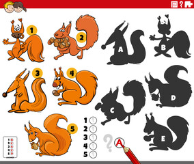 Sticker - finding shadows game with cartoon squirrels characters