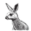 Kangaroo portrait sketch hand drawn in doodle style Vector illustration