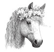 Horse head with flowers ,hand drawn sketch in doodle style Vector illustration
