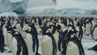 Penguins congregate on a vast land of ice.