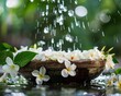 Water droplets falling from a jasmine garland into a bowl capturing the essence of Songkran