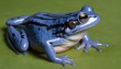 A-Frog-With-Its-Skin-Tinged-With-Shades-Of-Blue-