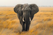 An elephant in motion, with a blurred background highlighting its gentle strength and grace