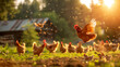 A flock of chickens are running around in a field. One of the chickens is flying. Chickens freely forage in the field. The photo presents a bright rural scenery under the sunlight
