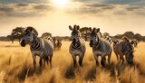 African landscape with acacia trees, zebras and blue sky