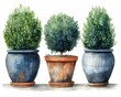 Shaped bushes and hedges depicted as watercolor topiaries, adding an artistic touch in the style of minimal watercolor clipart on white background