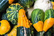 Colorful pumpkins background. Gourds an squashes. Decorative vegetables harvest. Autumn Thanksgiving decorations.