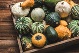 Fototapeta Tulipany - Colorful pumpkins in the box on wooden background. Autumn Thanksgiving vegetables harvest.