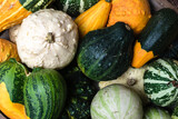 Fototapeta Kuchnia - Colorful decorative pumpkins background. Autumn harvest.