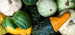 Colorful background with pumpkins. Autumn Thanksgiving banner.