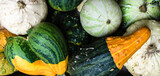 Fototapeta Kuchnia - Colorful background with pumpkins. Autumn Thanksgiving banner.