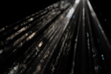 Wall Mural - mysterious light rays in the shadows