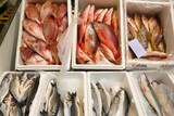 Fototapeta Big Ben - London Billingsgate Fish Market