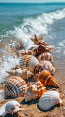 Canvas Print - A group of shells are lined up on the beach, AI