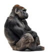 Pensive gorilla sitting in contemplative pose