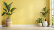 modern empty  living room with a window yellow wall, plants , empty copy space
