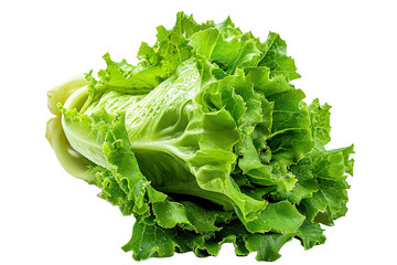 Wall Mural - one lettuce isolated on transparent background