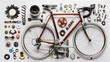 Disassembled bicycle and various parts laid out on a white background.
