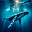 Ein großer schöner Wal im blauen Meer