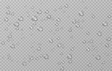 Fototapeta Łazienka - Vector drops png. Drops after rain, drops of dew. Condensation on the surface or glass.