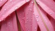 rain pink palm leaves