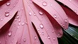 droplets pink palm leaves