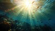 light underwater sun