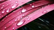 shower pink palm leaves