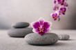 Zen stones and pink orchid flower on gray background as spa concept