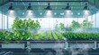 Illustration of a hydroponic farm using fogponics to mist plant roots with nutrient solution