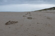 Spuren Fußabdrücke im Sand eines Strandes an einem bewölkten Tag an der Nordsee
