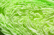 Fresh ripe Chinese cabbage as background, top view