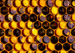 Dark shades of pollen in comb.  Being a beekeeper, the author does not know the origin of such pollen.
The color of pollen depends on how it is taken from the flowers.
