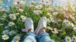 Serene Girl's Legs Resting on Vibrant Spring Margarita Daisy Flowers
