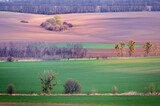 Fototapeta Miasta - Spring in the fields in Ukraine
