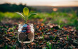 A small glass jar with some coin in it and a sapling of a small plant in it. plant growing out of coins in glass jar with filter effect retro vintage style. Investment concept,  growth, photography