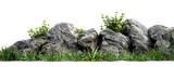 Fototapeta Motyle - Green moss with decorative rocks and grass isolated on transparent background