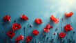 Red Poppy Flowers Banner on Blue Background for Remembrance, Memorial, ANZAC Day