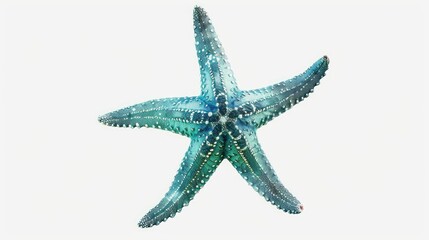 Poster - A beautiful watercolor painting of a starfish on a white background. Ideal for marine-themed designs