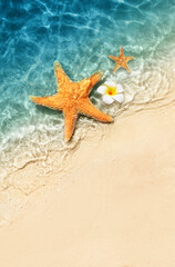 Starfish and flower on the summer beach in sea water. Summer background.