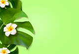 Fototapeta Desenie - Top view of holiday travel beach with flower plumeria and monstera leaves on green background